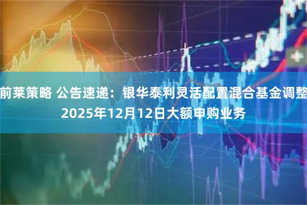 前莱策略 公告速递：银华泰利灵活配置混合基金调整2025年12月12日大额申购业务