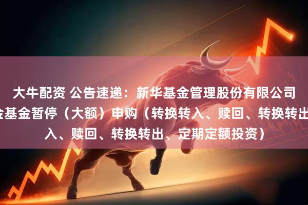 大牛配资 公告速递：新华基金管理股份有限公司新华丰利债券基金基金暂停（大额）申购（转换转入、赎回、转换转出、定期定额投资）